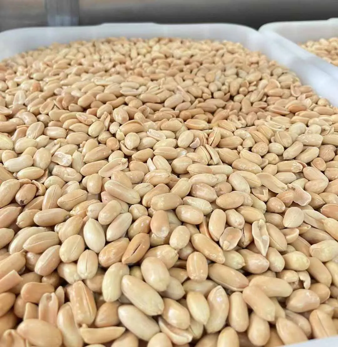 Hot sale China snacks foods wholesale new package fried and salted blanched peanut