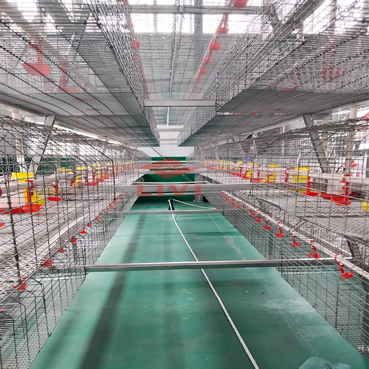 Popular Industrial Hot Galvanized 4 Tier A Type pullet cages Battery baby Layer Chicken Shed Cage For Reasonable Price