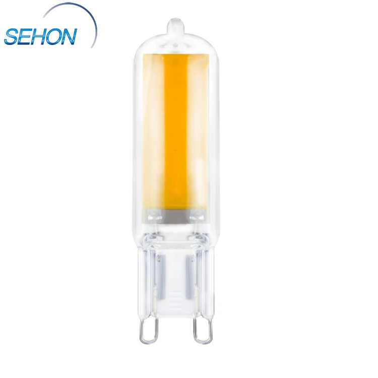 G9 Halogen Lamp Replacement 110V 220V 2W Capsule LED Bulb