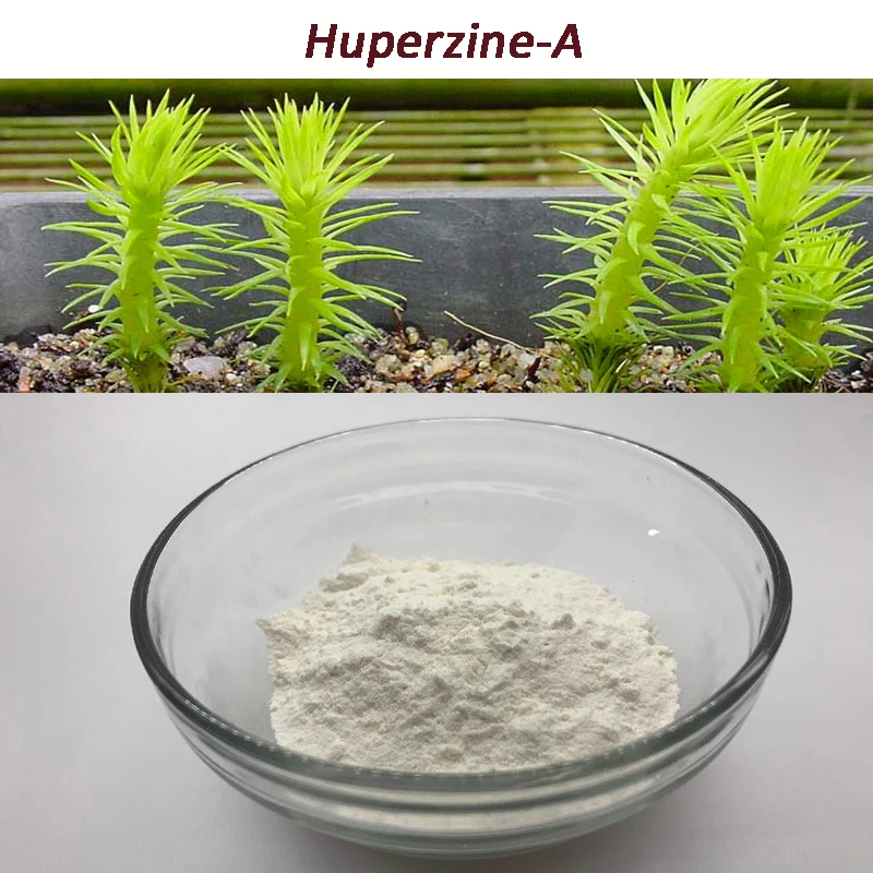 Натуральный Экстракт чистый экстракт Huperzia Serrata 1% 5% 98% Huperzine-A CAS 102518-79-6 для лечения сенильного
