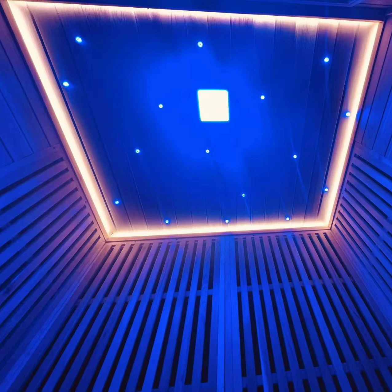 TaiZi factory outlet double outdoor infrared sauna