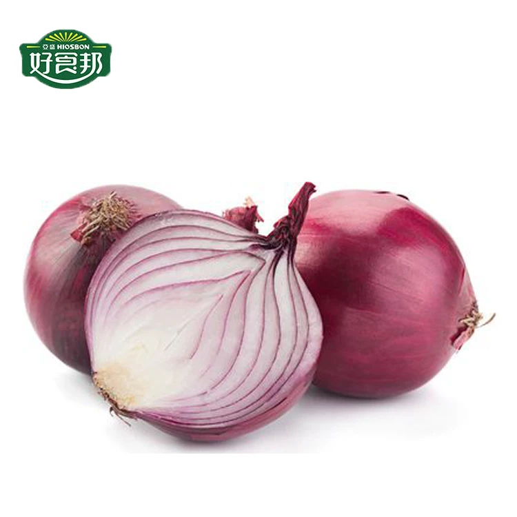 Hot Sale Fresh Red Small Onion Export from CN;GAN Mesh Bag 100% Maturity Gansu Province 20 Kg Round 2019 8 Cm 6-8 89% FCL Top