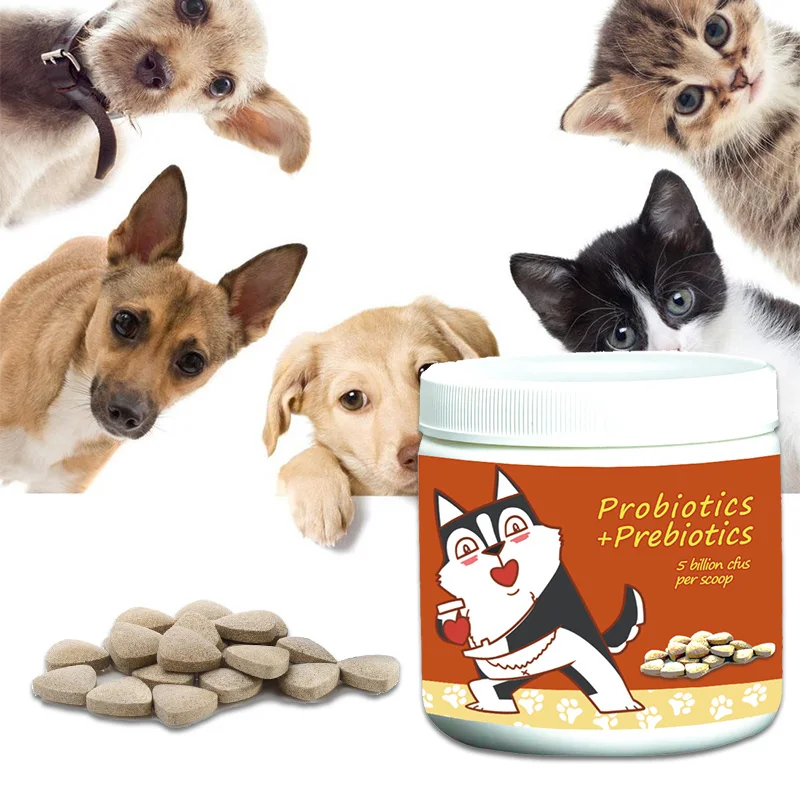 Best seller oem pre and probiotics pet for dogs