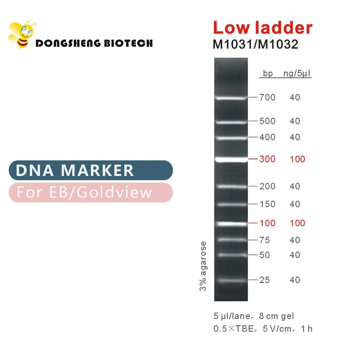 Low DNA Ladder, DNA Marker, OEM