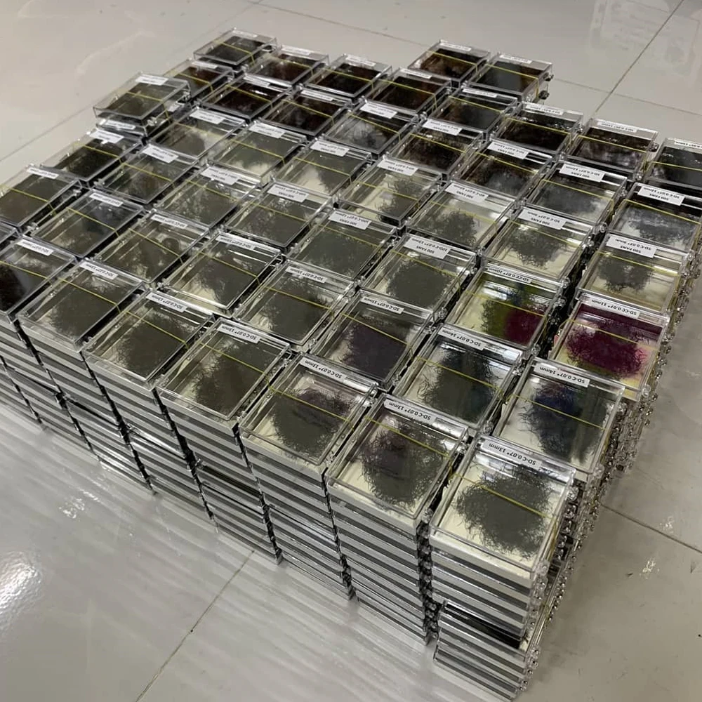 Hot Sale Private Label 500 1000 Loose Fans Premade Volume Fans Loose Eyelash Extension promade lashes