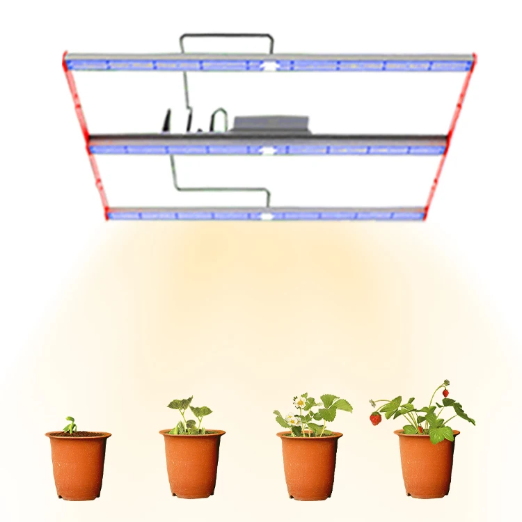 
professional cxb3590 3x5 300w cob led mushroom grow light tent housing 