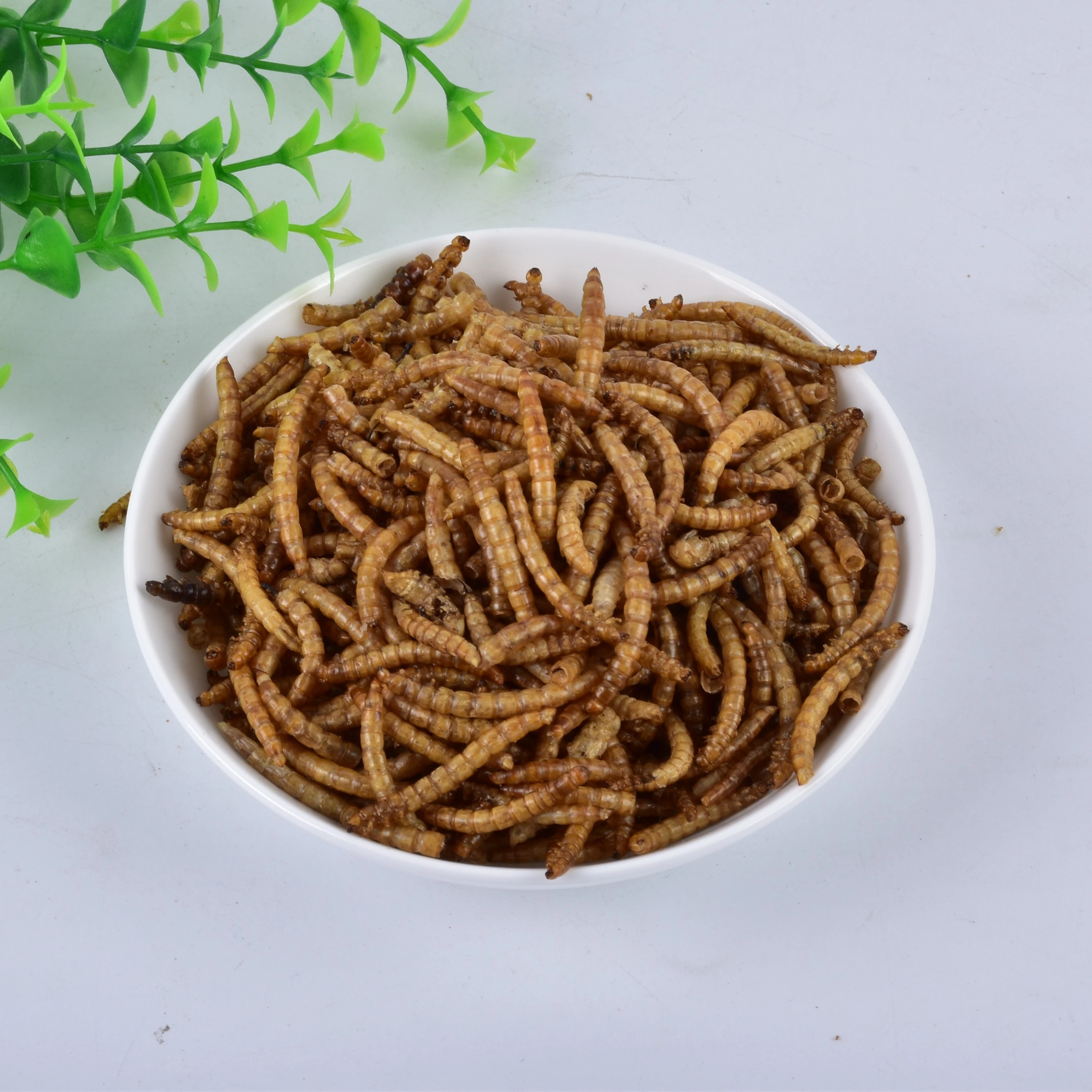 Yellow mealworm pet freeze-dried snacks factory food high protein