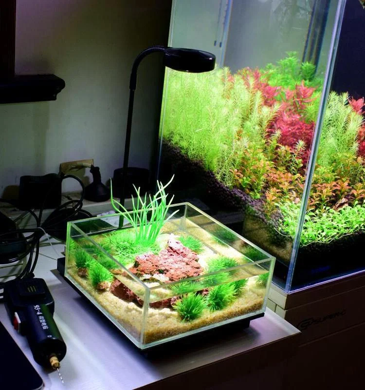 Оптовая продажа декоративные светильники для домашнего садоводства регулируемые по высоте светодиодные аквариумные полного спектра с деревянной доской