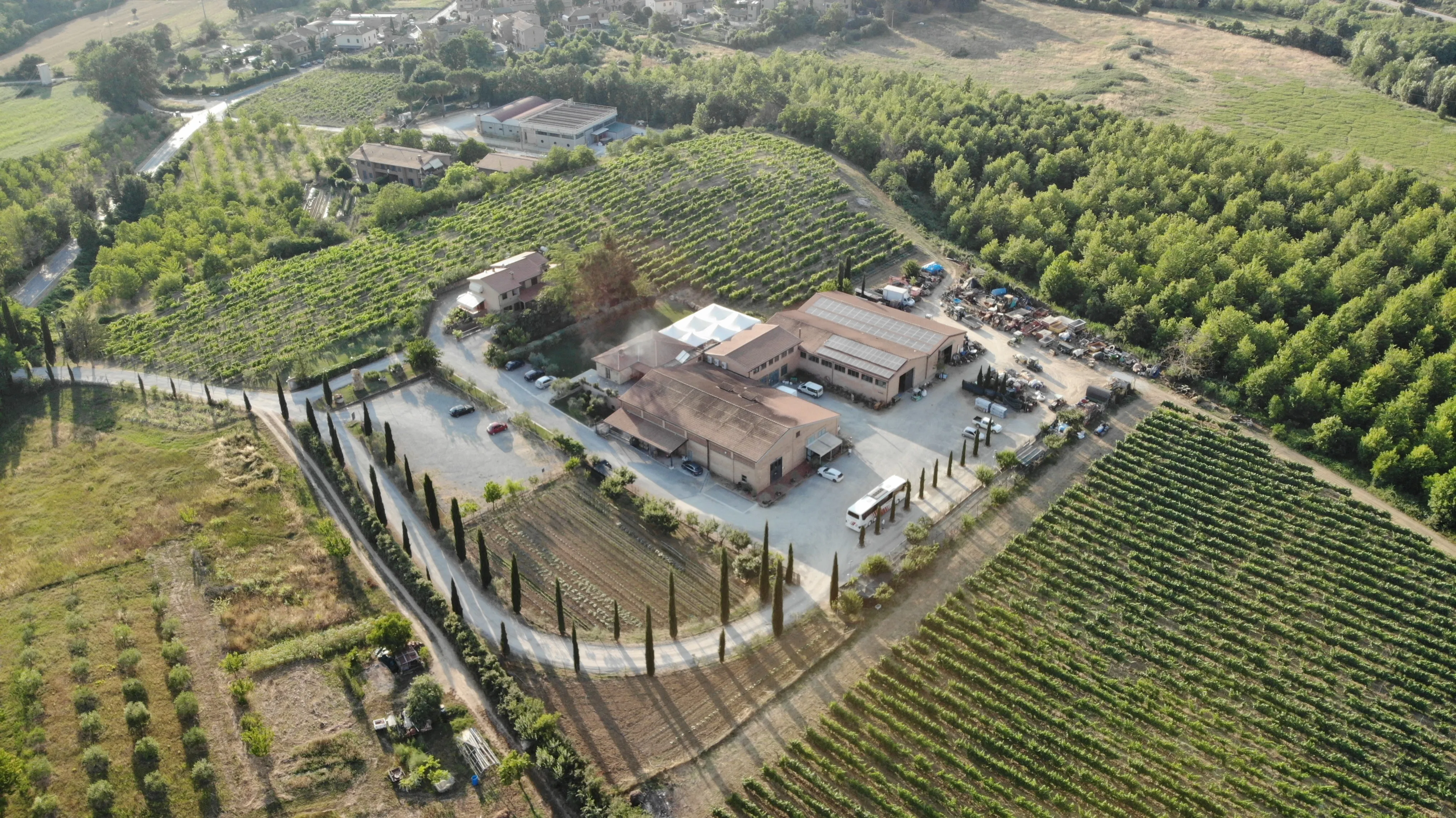 IL CILIEGIO High Quality Italian Soft Wheat Artisan Flour Type 00 Durum Wheat Semolina Flour 1 Kg