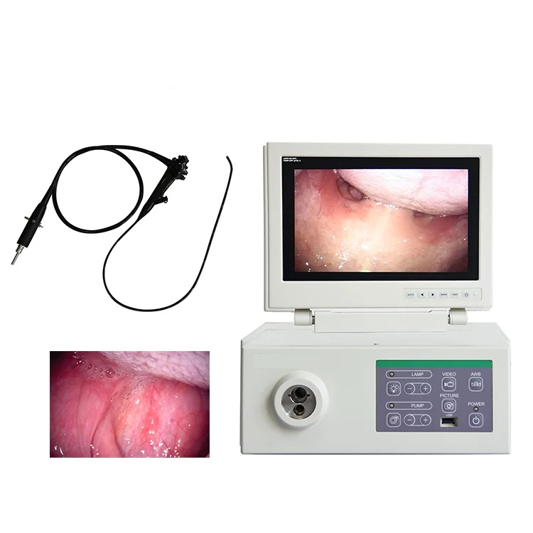 Endoscope System Video Medical Rigid Endoscopy Camera System Gastroscopy for Pet Small Animal