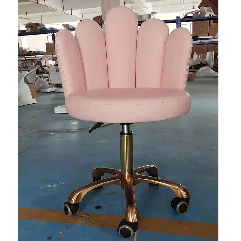 Pink Metal Beauty Salon Small Stool Salon Furniture Equipment Customizable Color Dental Chair