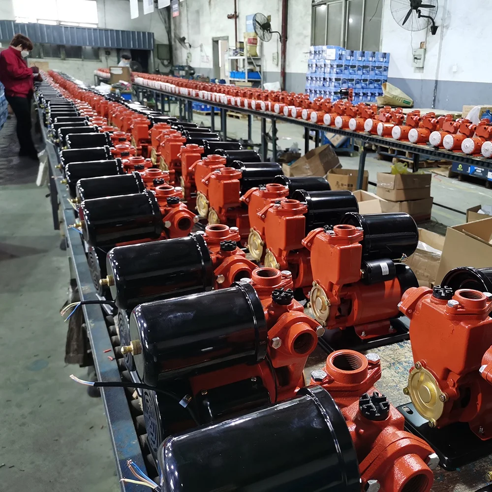 DACHENG PS130 self priming electric 0.5HP auto house hold 370W pressure booster motor pump price water pumps