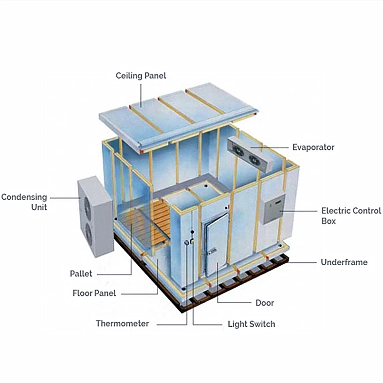 Custom cold storage for fruit and vegetable warehouse