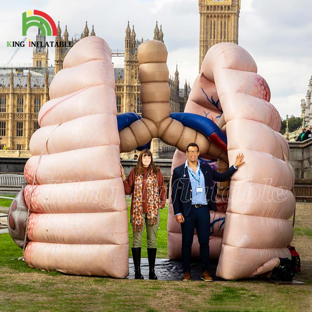 Customized Inflatable Lungs Outdoor Medical Education Exhibition Human Lung Model