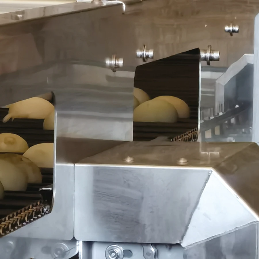 Best Sale Snail Shrimp Egg Sorting Line Automatic Machine Conveyor Belt Grading