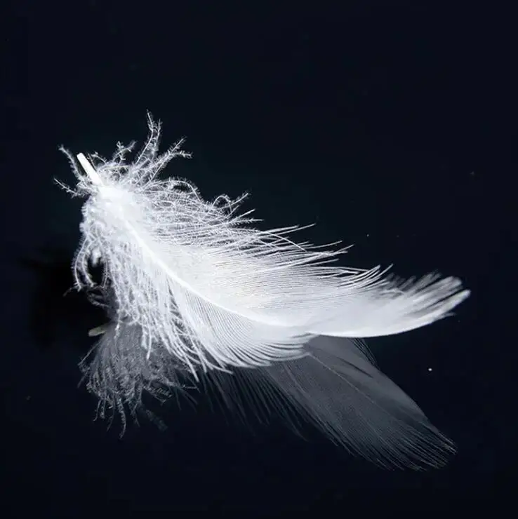 Factory Price 90% 80% Washed White Goose Down Duck Feather