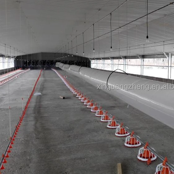 Сборный птицефабрик, стальная конструкция, птицефабрика, оборудование для продажи