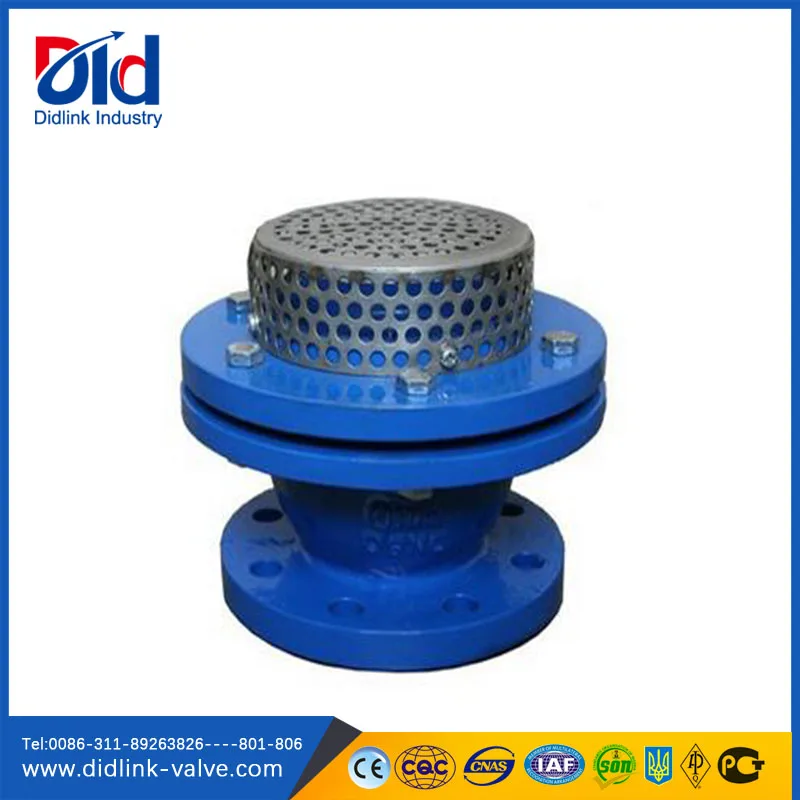 Well Hydraulic Air Bronze Stand Replacement Spring Din Ductile Iron Jet Pump Foot Valve Strainer