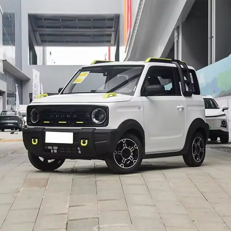2024 Cheap Price 4 Wheel Left Hand Drive Car Pure Electric Geely Panda Mini EV