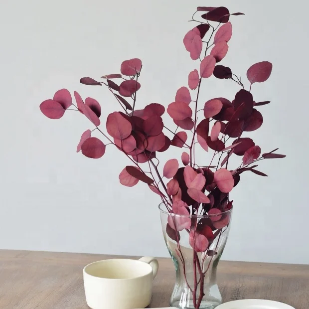 wholesale decoration flowers preserved eucalyptus wreath eucalyptus leaves