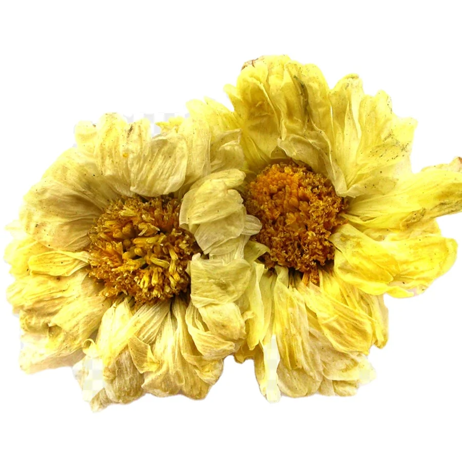 Wholesale High Quality Dried Hang White Chrysanthemum Herbal Flower Tea