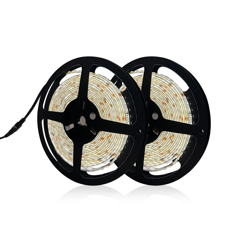 IP65 waterproof 5050 2835 24v 12V RGB rgbw cob strips outdoor warm white led strip lights silicone tubing for led strips