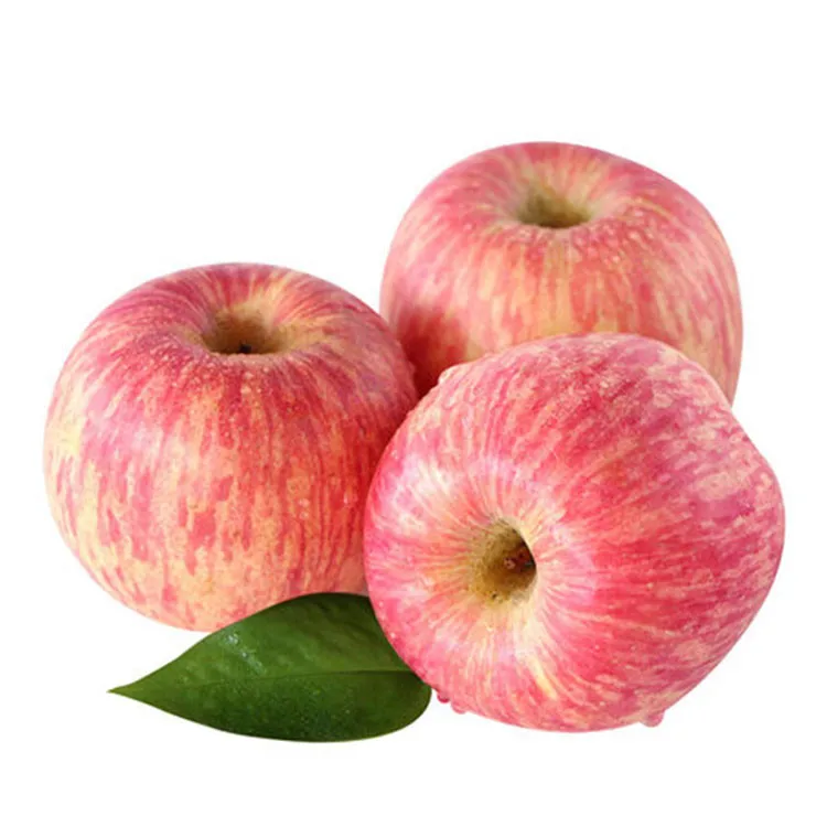 
Shaanxi Late Ripe Crispy Red Fuji Apple 