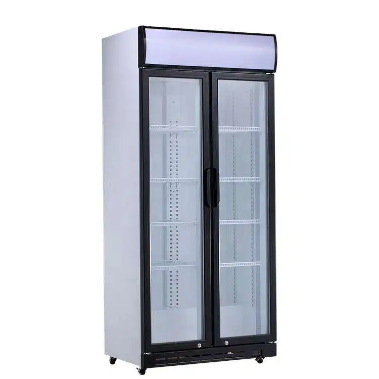 Custom New Design Refrigeration Equipment Double Door Upright Refrigerator Cooler Display