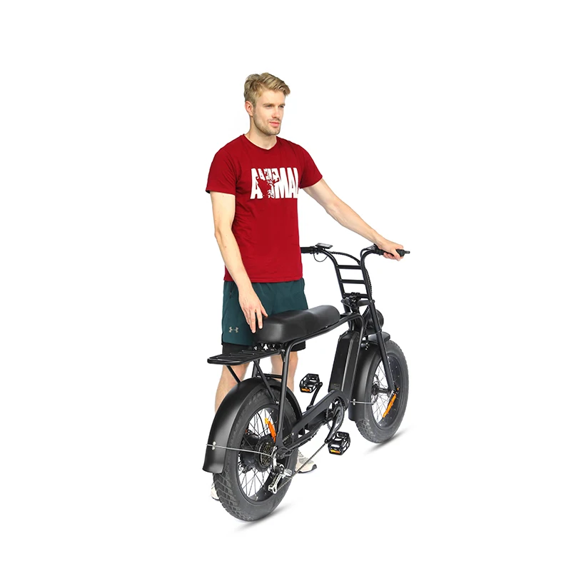 Hot Selling Retro Ebike   20 inch 250w 350w 500w 750w 1000w  Motor Ebike  Fat Tire bicycle electric bike ebike e bike