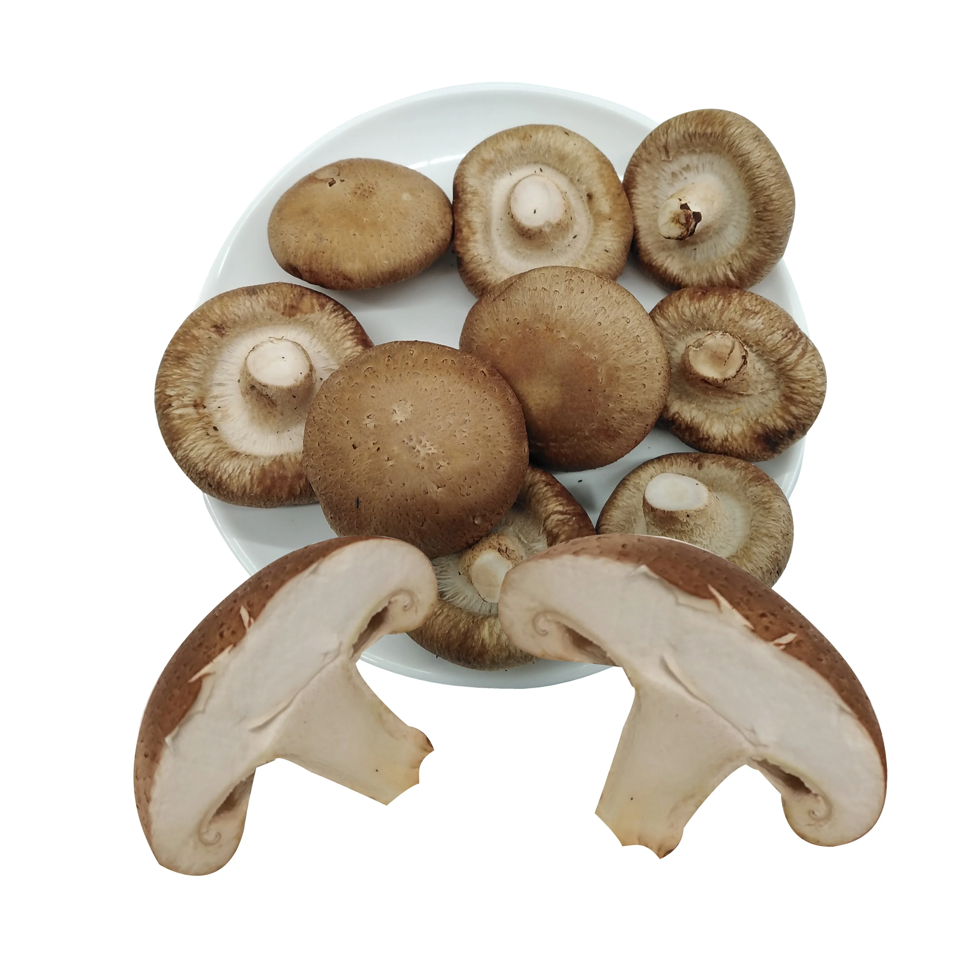 wholesale price from China fresh shiitake mushroom.
