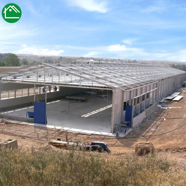 Птицеводство, проектирование на 50000 слоев, клетка для цыплят в птице