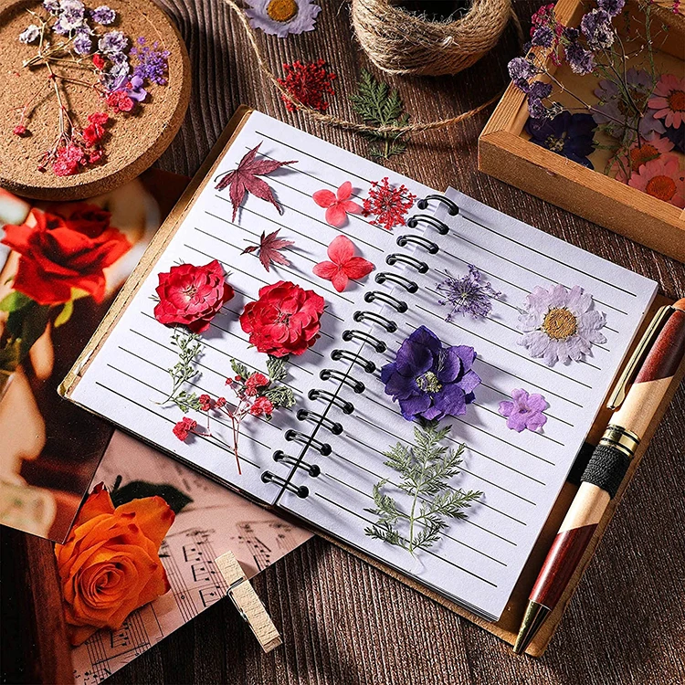 Dried Pressed Flowers Butterfly Stickers Real Natural Dry Flowers Leaves Bulk with Tweezers for resin Art Craft Supplies