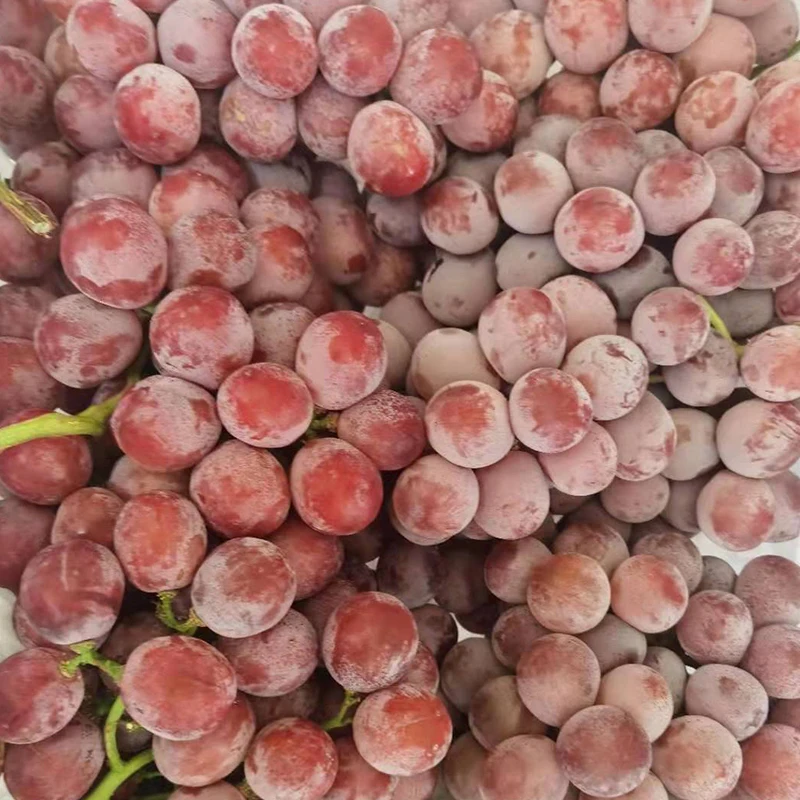 
Chinese supplier grape fresh grape new season sweet fresh grape price 