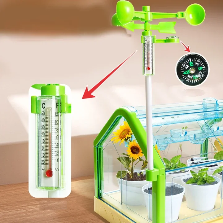 Mini Garden Educational DIY Gift Set Flower Growing Kit with Paint Tool for Little Planters for 2-4 and 5-7 Years