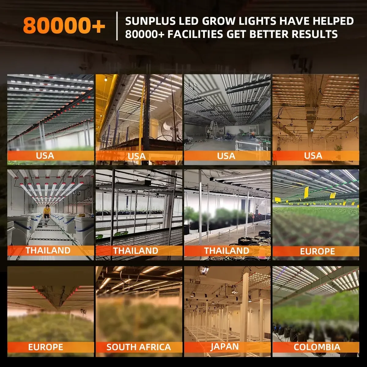Factory  Custom 720W 800W 1000W Full Spectrum Led 8 Bar Dimmable Lm301B Plants Led Grow Light Hydroponic