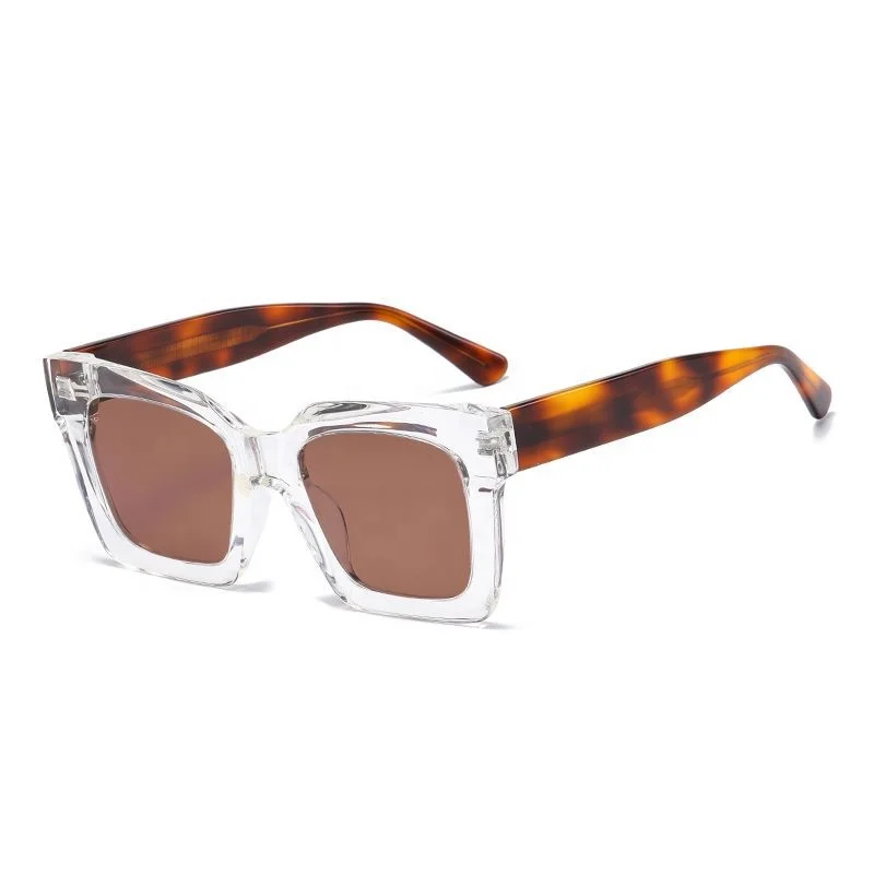 Luxury Transparent Frame Sun Glasses Wholesale Crystal custom Logo Polarized Oversize Sunglasses TR90