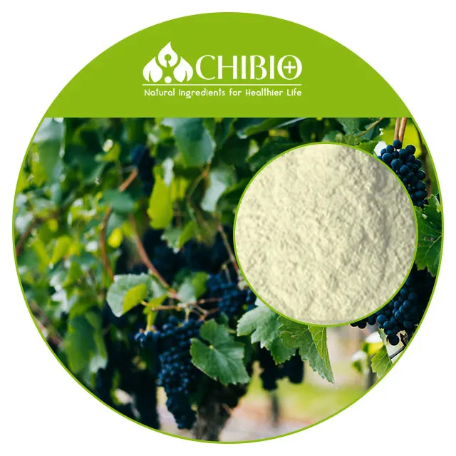 ISO Certificate Food Grade Factory supply Aspergillus niger Chitosan Powder for grape juice making
