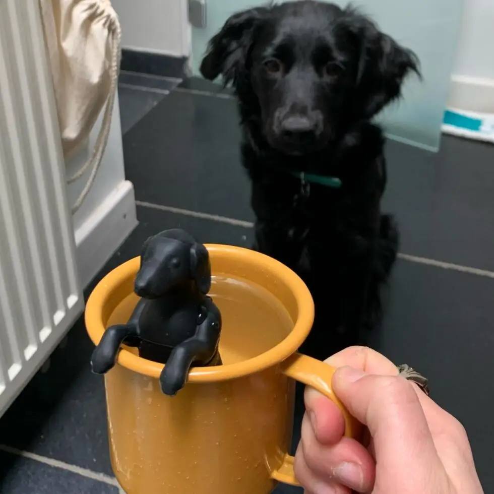 Dachshund Dog Silicone Tea Infuser