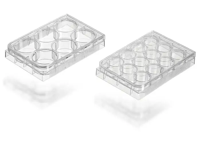 Tissue Culture Plate Different Wells Plate Cell Culture Plate