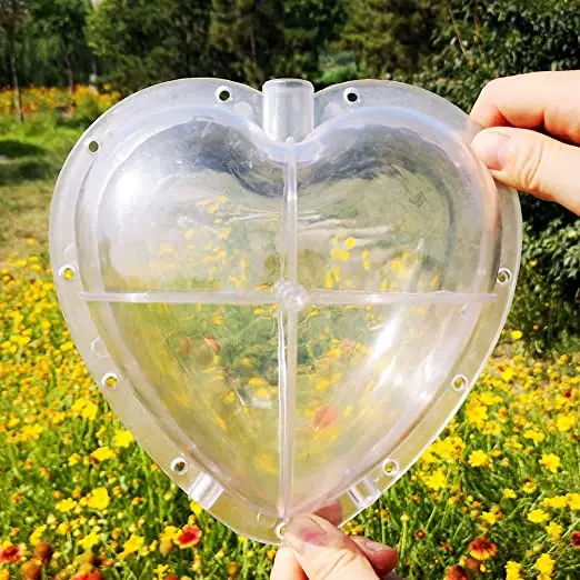 Transparent Reusable Heart and Square Watermelon Growing Mold Sapodilla Garden Fruit Mould Tool