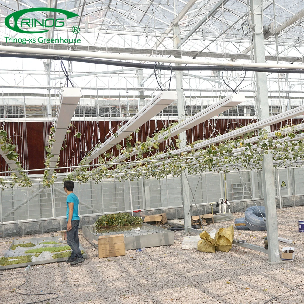 Double layer glass hydroponics greenhouse for cold weather