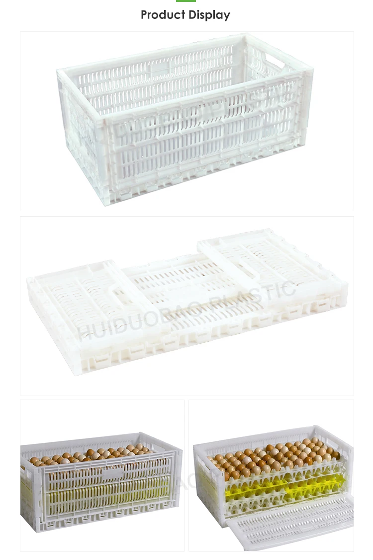 White Plastic Collapsible Foldable Egg Crate Transportation Poultry For