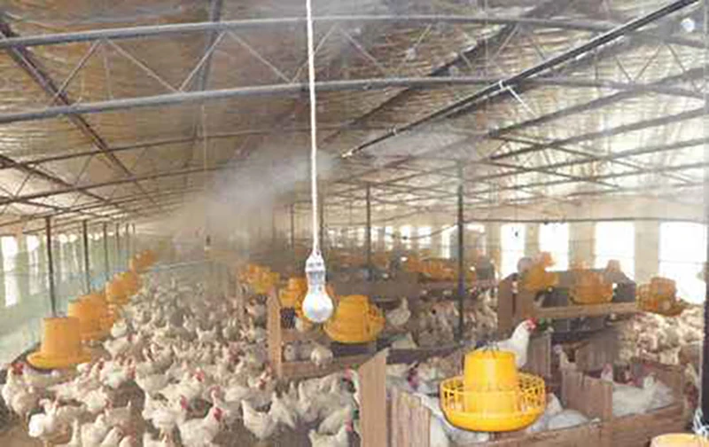 New Arrive 2.0L/Min Garden High Pressure Sprayer Industrial Sprayer Water Mist Maker Fogger Mist Cooling System Fog Machine