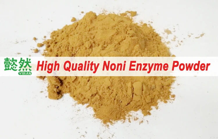noni enzyme powder