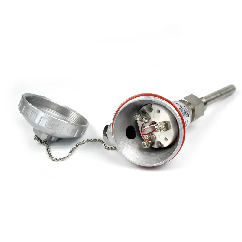 BRIGHT Pt100 Temperature Sensor Rtd Sensor Thermocouple Bare Wire Armored Assembly Thermocouple Head