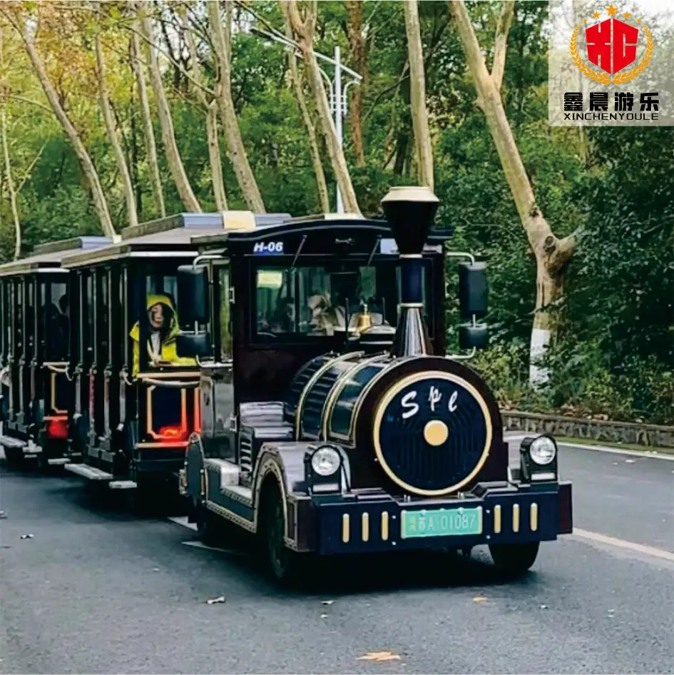 Popular Tourist Train Customized Theme Park Amusement Rides Products Track Train Ride for Sale