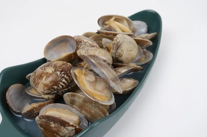 Manufacturers wholesale shellfish clam delicious little clams