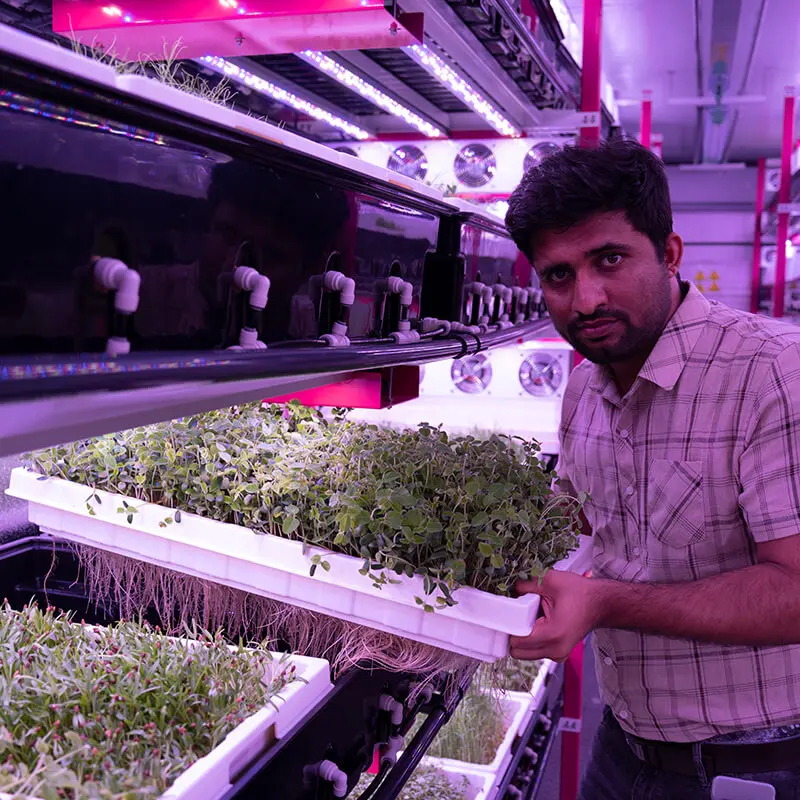 greenhouse climate control microgreen growing container farm