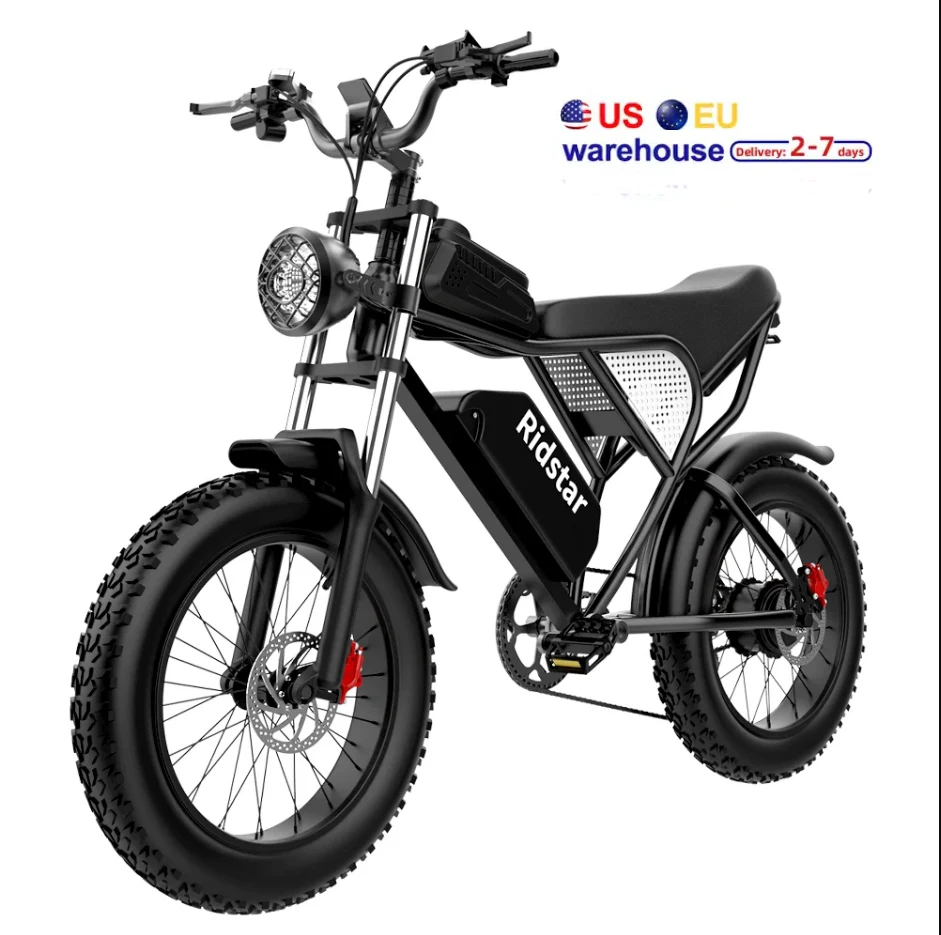2024 Top Selling Fat Tire Full Suspension Adults Bike 1000W Motor Removable Lithium Batter 20Ah Electric Bicycle