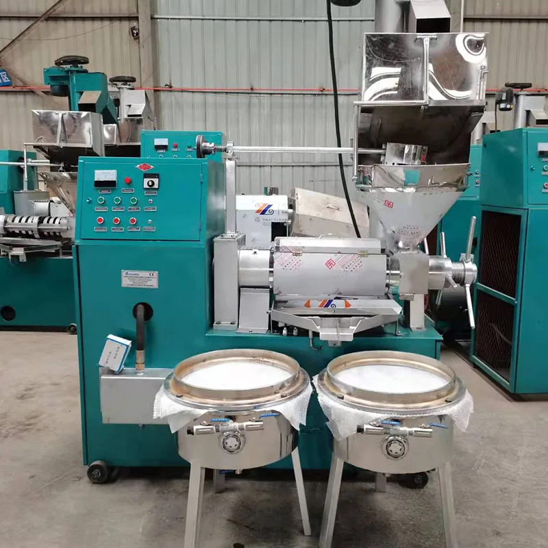 Automatic professional factory price peanut essential oil screw cold oil press machine production line